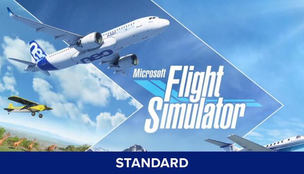 Microsoft Flight Simulator